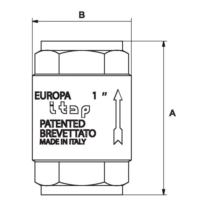 Clapet anti-retour FF3/8'' 25 bar