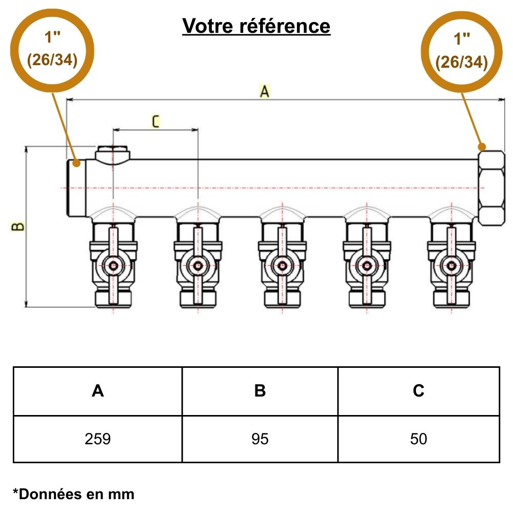 Collecteur mâle-femelle 1'' (26/34), 5 départs mâle 1/2'' (15/21), pour sanitaire - Riquier
