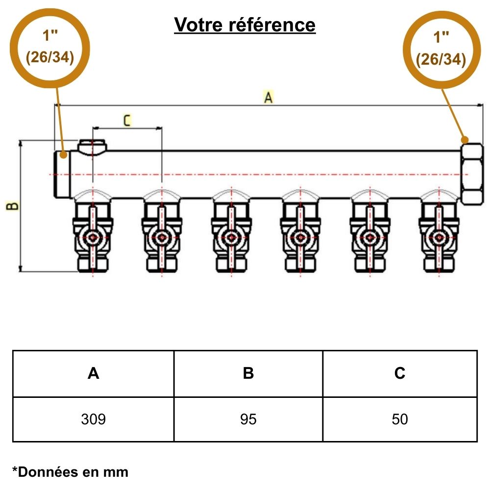 Collecteur mâle-femelle 1'' (26/34), 6 départs mâle 1/2'' (15/21), pour sanitaire - Riquier