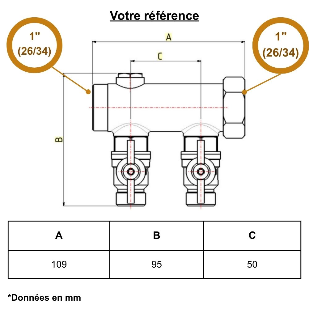 Collecteur mâle-femelle 1'' (26/34), 2 départs mâle 1/2'' (15/21), pour sanitaire - Riquier